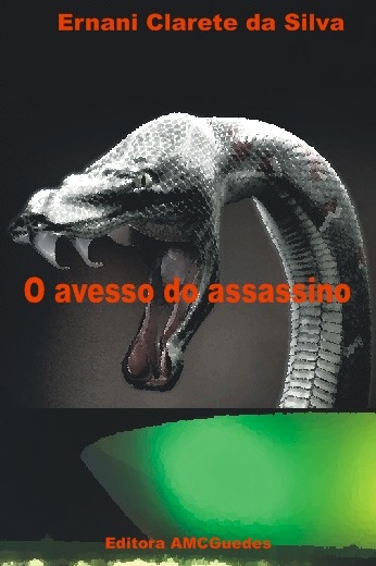 o avesso do assassino